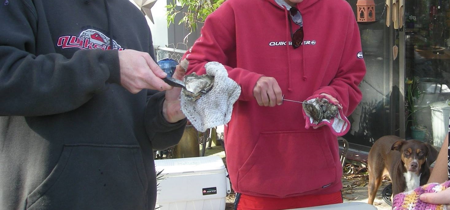 People shucking oysters with knives