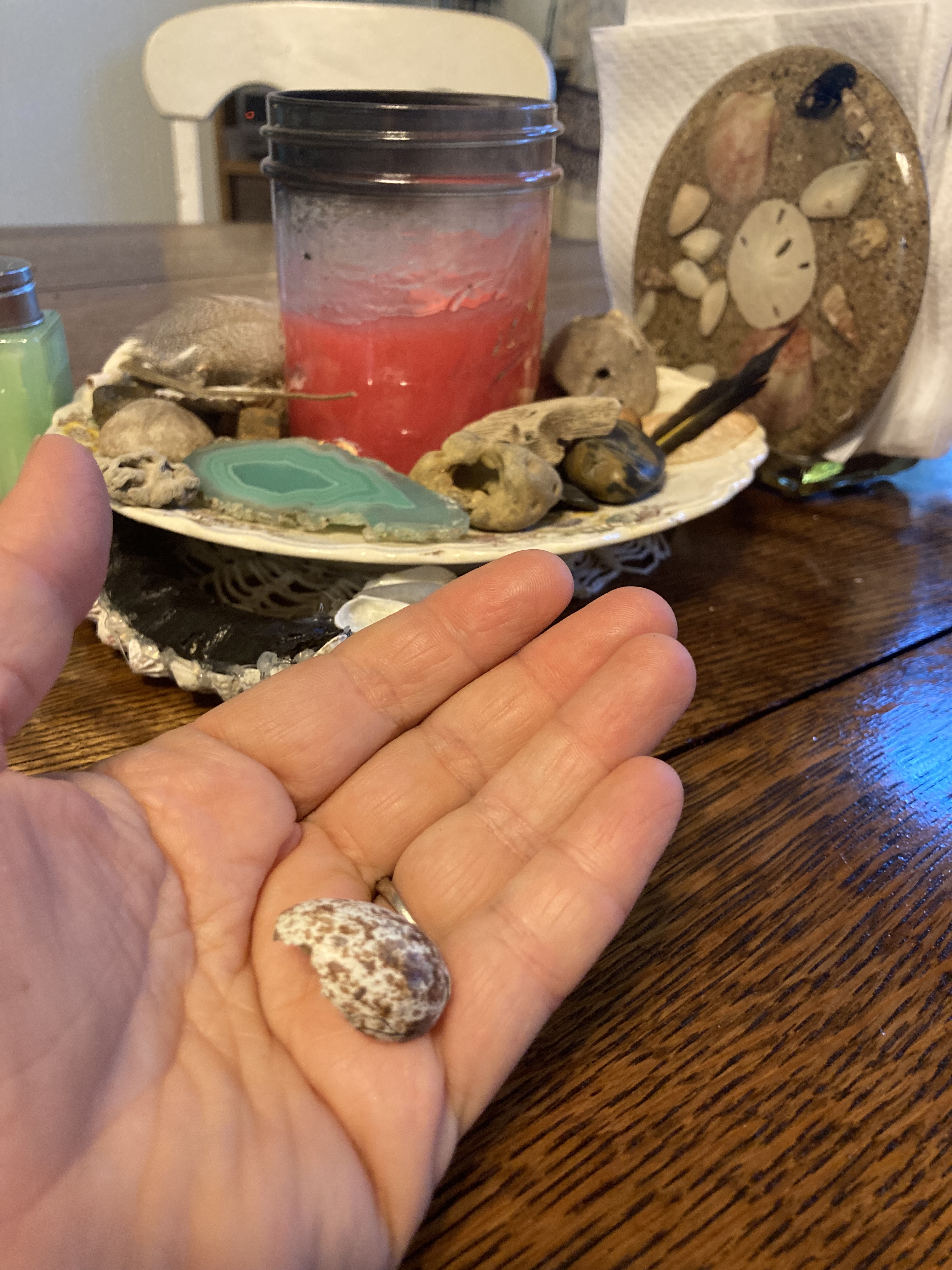 Hand holding broken bird's egg