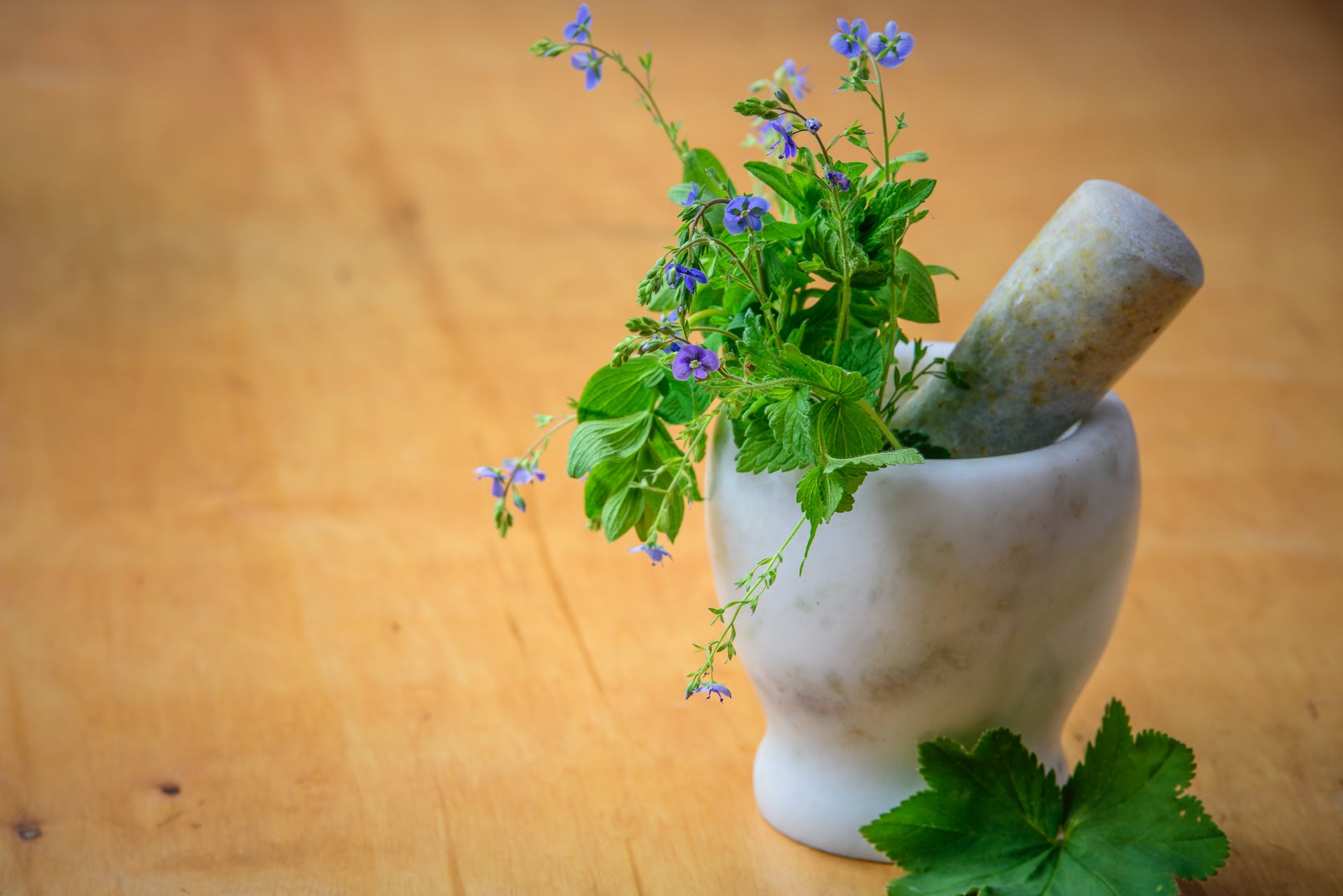 Mortar pestle herbs
